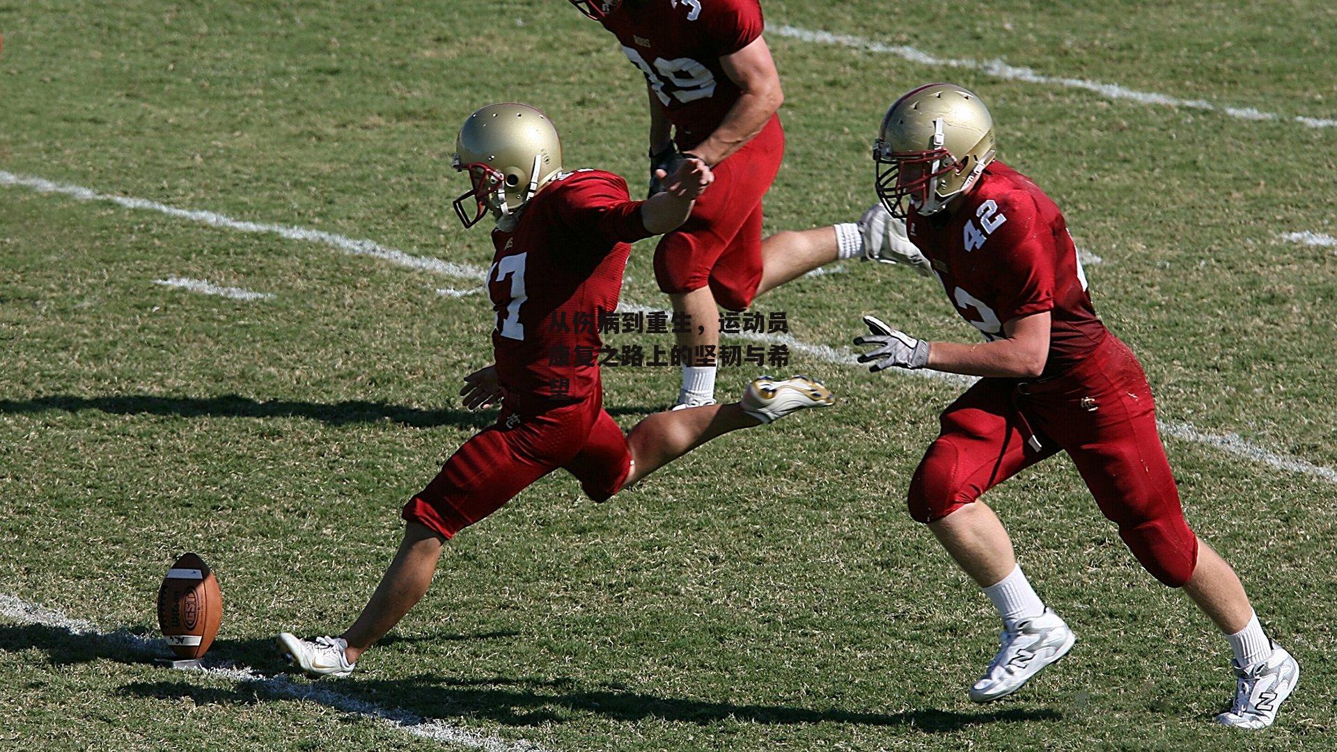 从伤病到重生,运动员康复之路上的坚韧与希望