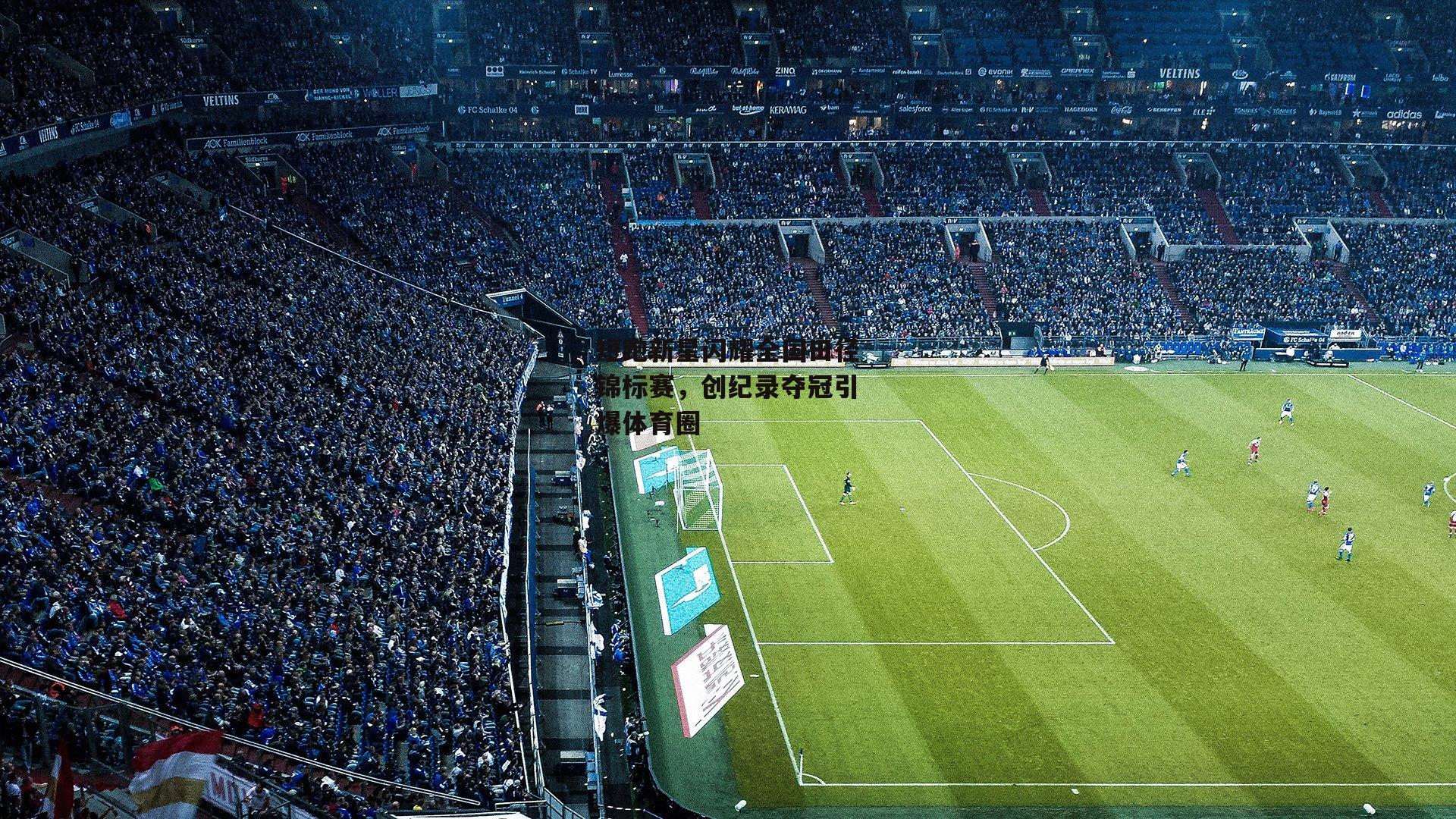 短跑新星闪耀全国田径锦标赛，创纪录夺冠引爆体育圈